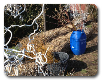 Seybold Lauffen Direktverkauf
