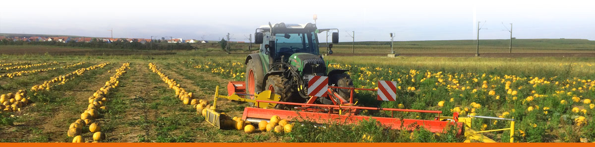 Seybold Naturkost Lauffen | Herstellung