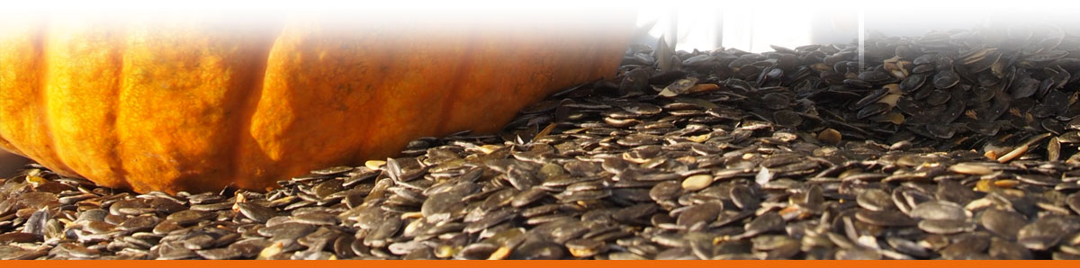 Seybold Naturkost Lauffen | Naturkost