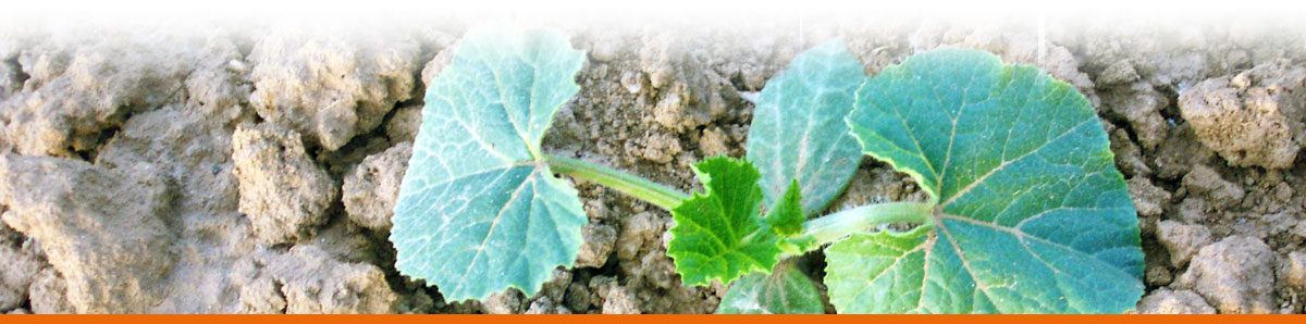 Seybold Naturkost Lauffen | Produkte